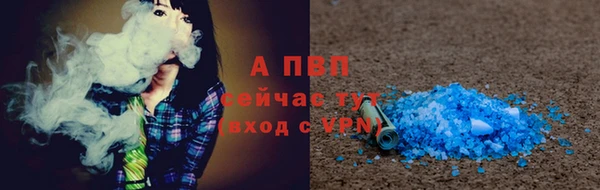 крисы Барнаул