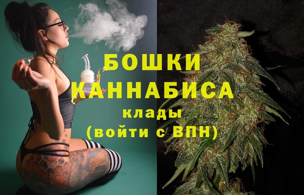 крисы Барнаул