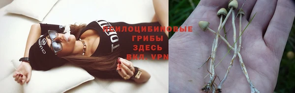крисы Барнаул