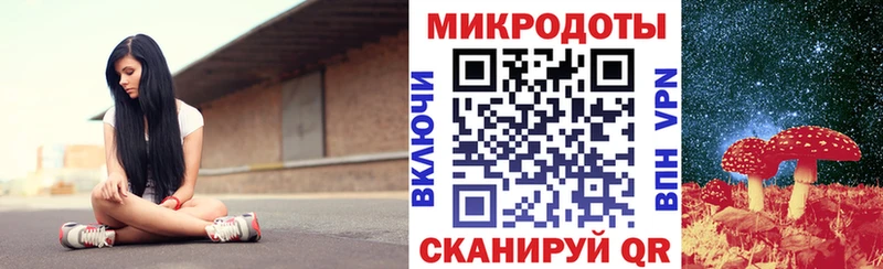 что такое   дарк нет наркотические препараты  Псилоцибиновые грибы мухоморы  Алексеевка 