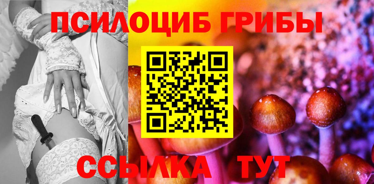 Галлюциногенные грибы Psilocybe Алексеевка
